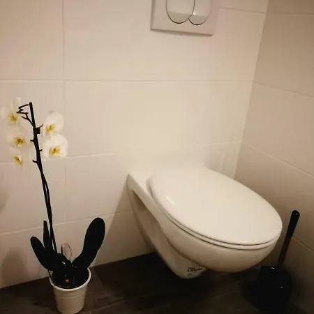 Robinson My Dream * Gdinj